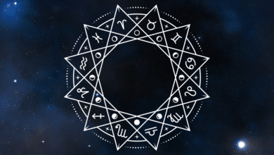 Introducción a la astrología cuáles son las casas astrológicas