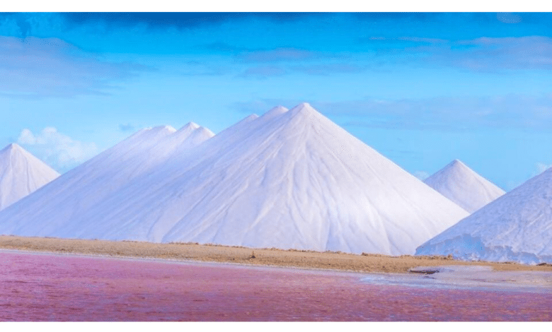 Guerrero Negro, la salinera más imponente del mundo esta ubicada en Mulegé
