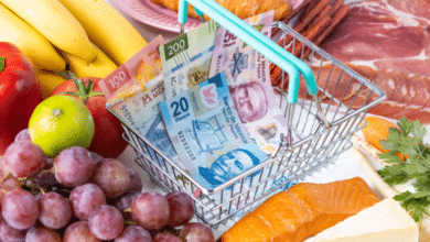 Perspectivas económicas de México OCDE anticipa inflación del 4.1% y confirma crecimiento del PIB en un 2.5%