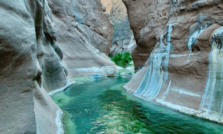 Descubriendo el Cañón del Mezquite: Un viaje natural en Baja California Sur