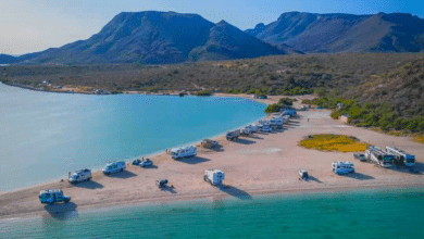 La Playa Requesón es un verdadero tesoro escondido en Mulegé