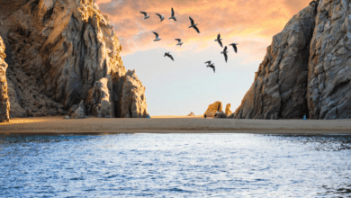 Estos son los cinco lugares más instagrameables de Los Cabos