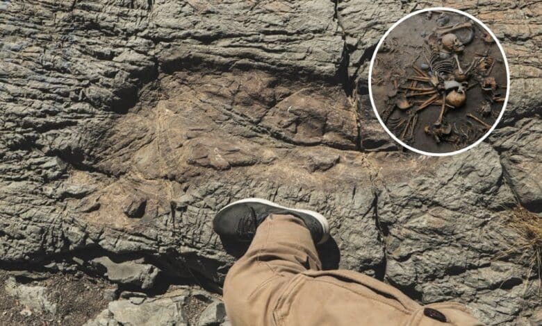 ¿Existieron gigantes en la Península de Baja California? Esto es lo que se sabe