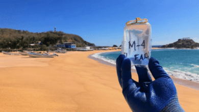 Detectan bacterias peligrosas en playas de Los Cabos: Alerta para los usuarios