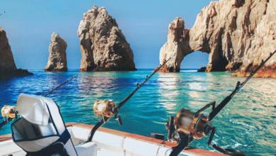 Pesca deportiva genera 9 millones de dólares en Los Cabos, asegura FONMAR