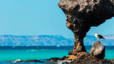 El Hongo de Balandra: Urge restauración ante el riesgo de colapso