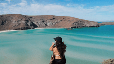 Lugares imperdibles para visitar en Baja California Sur en 2025