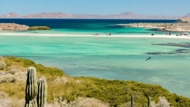 Mulegé La Joya Oculta de Baja California Sur