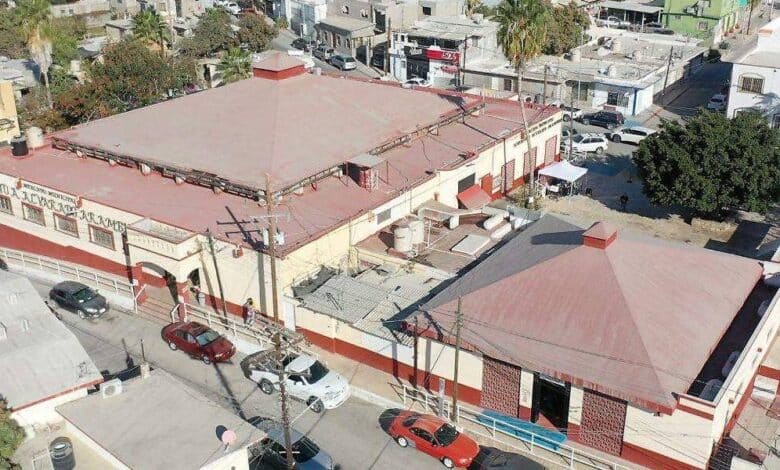 El Mercado Municipal de San José del Cabo: Un Refugio de Tradición y Sabor Local