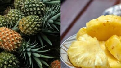 La piña escalda por esta razón