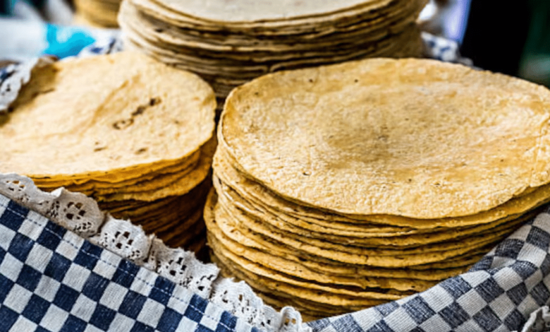 Gastronomía,Tortillas,México,Ingrediente