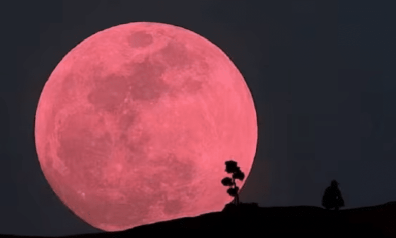 Luna Rosa,fenómenos,astronómicos,año,espectáculo,impresionante