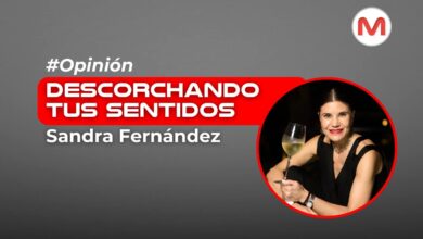 DESCORCHANDO TUS SENTIDOS - Sandra Fernández