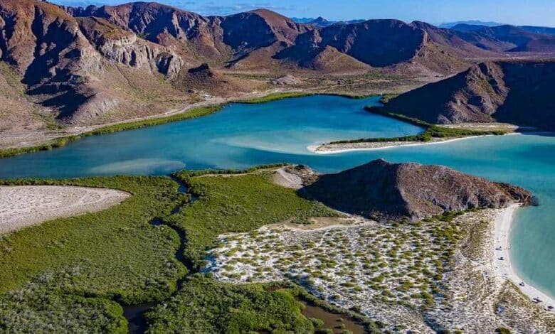 Los humedales de BCS que previenen las inundaciones. (Foto de internet)