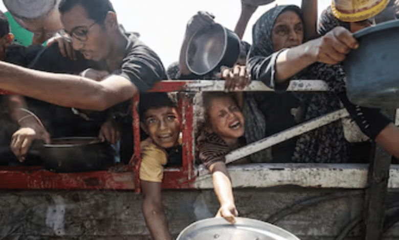 Hambruna masiva azota Gaza más de 100 organizaciones denuncian emergencia humanitaria