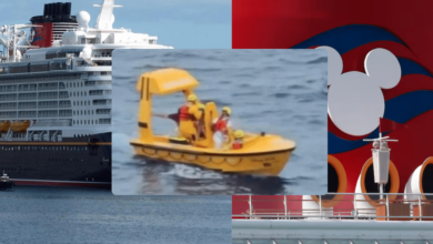 Milagro en altamar padre salva a su hija tras caer por la borda de un crucero (3)