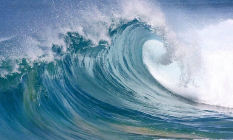 Tsunamis en Baja California Sur: pueden ser una realidad (Foto de internet)