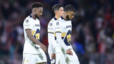 Negro panorama de Pumas (Foto de internet)