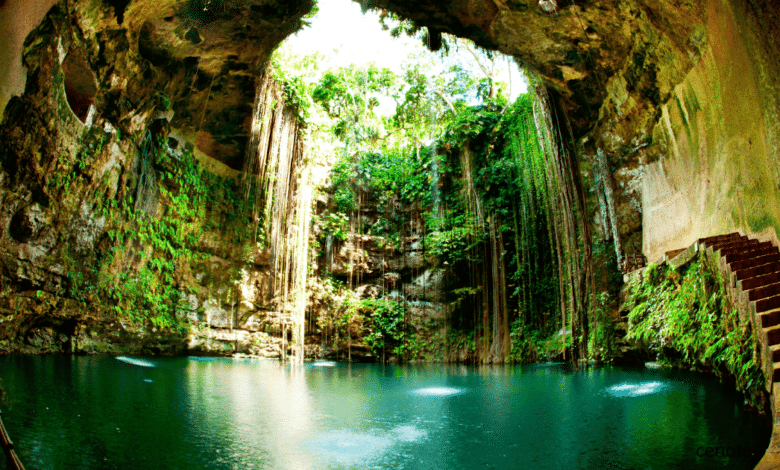 A sólo unos kilómetros de Puerto Morelos se extiende un corredor natural de más de 35 km conocido como la Ruta de los Cenotes. Con más de 60 cenotes entre abiertos, semiabiertos y cavernas, ofrece una combinación perfecta de aventura, descanso y ecoturismo. Entre los imperdibles: Cenote Las Mojarras, Siete Bocas, Boca del Puma, Verde Lucero y La Noria.