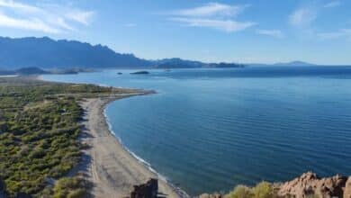 Playa Ligüi en Loreto: rincón virgen entre mar y montañas (Foto de Kevin Comfort)