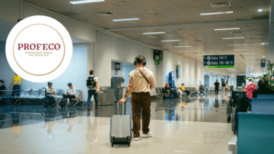 ¿Tu vuelo se retrasó o fue cancelado Profeco explica cuáles son tus derechos