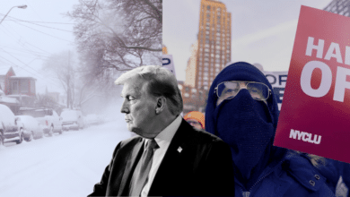 En medio de protestas nacionales por la muerte de un manifestante a manos de agentes federales en Mineápolis y una megatormenta invernal que ha dejado al menos 30 muertos, el presidente Donald Trump ajustó su estrategia tanto en materia migratoria como en el manejo de la crisis interna, ordenando cambios tácticos y un repliegue parcial de fuerzas federales.