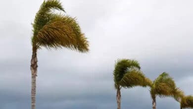 Clima BCS: fuertes vientos durante la tarde ¿Lloverá? (Foto de internet)