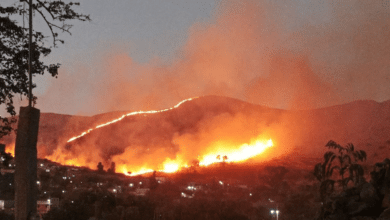 Mega incendio forestal moviliza a cuerpos de emergencia en Oaxaca, Monte Albán