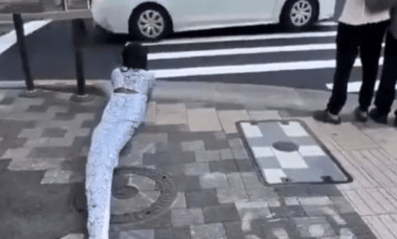 Therian serpiente causa polémica en Japón