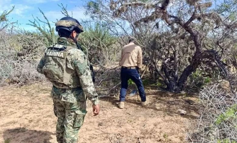 Hallan fosas clandestinas con osamentas humanas en Comondú (Foto de internet)