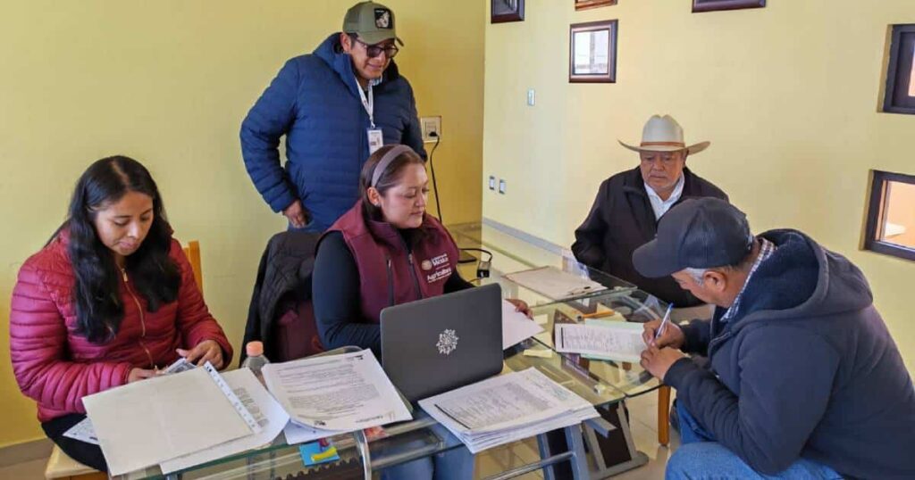 llama agricultura a productoras y productores a recibir el incentivo al maiz blanco en seis estados 2