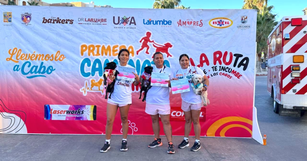 primera caminata canina en cabo san lucas reúne a familias y asociaciones (1)