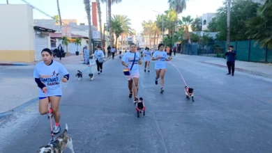 primera caminata canina en cabo san lucas reúne a familias y asociaciones