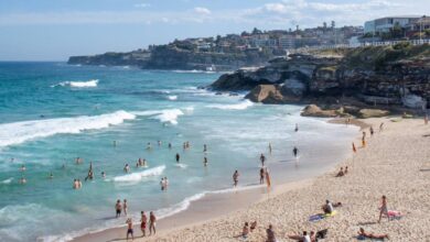 refuerzan seguridad en los cabos ante llegada masiva de spring break. Imagen: Internet.
