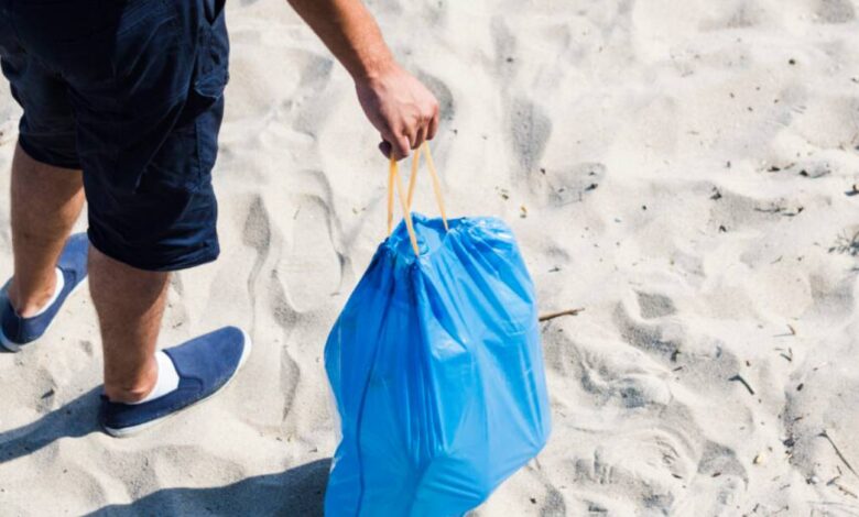 uabcs se suma a la mega limpieza estatal de playas 2026 en baja california sur. Foto: Internet.