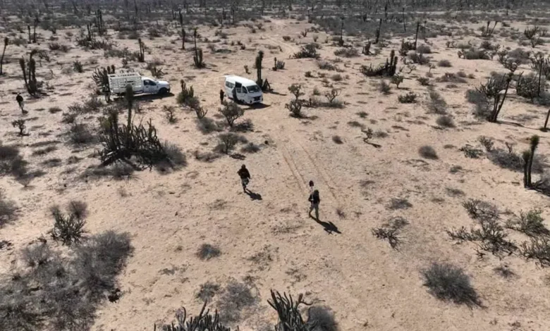 Colectivos encuentran 13 restos en Baja California Sur; piden pruebas de ADN