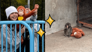 Lisa de BLACKPINK sorprende al visitar a Punch, el mono viral de internet