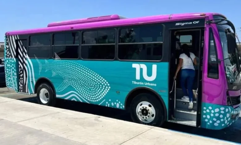 tiburón urbano ajusta rutas en semana santa sin cambiar tarifas