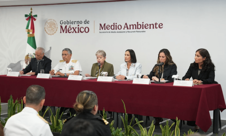 Derrame de petróleo no afectó playas, flora ni fauna