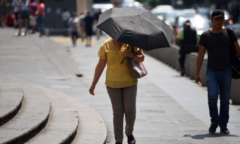 Clima hoy: comienzan las altas temperaturas en estos estados (Foto de internet)