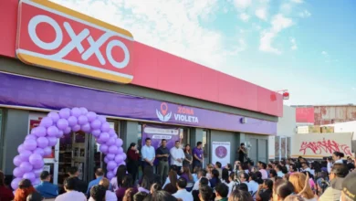 zona violeta en los cabos habilitan 430 oxxo como espacios seguros para mujeres y niñas