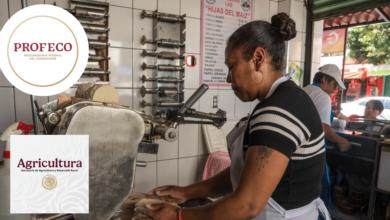 AGRICULTURA y PROFECO descartan alzas al precio de la tortilla y llaman a no atender versiones falsas sobre costos del maíz y la harina