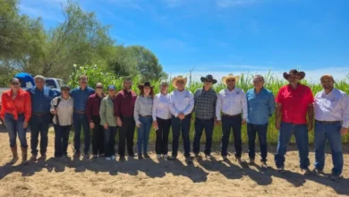Baja California Sur fortalece proyectos productivos en zonas rurales de Comondú