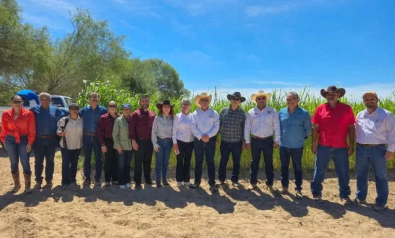 Baja California Sur fortalece proyectos productivos en zonas rurales de Comondú