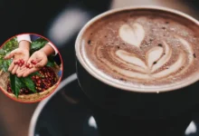 café de veracruz origen, tradición y el sabor que conquistó a méxico
