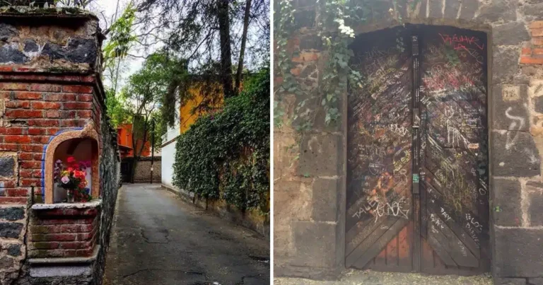 callejón del aguacate la leyenda paranormal que mantiene vivo el misterio en coyoacán