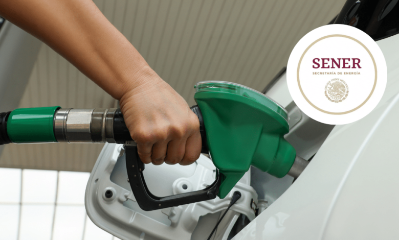 Convocatoria dirigida a las y los empresarios del sector gasolinero