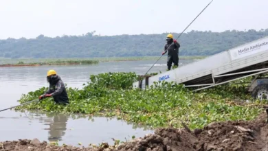 Saneamiento de la presa Endhó (Foto de Efrain Espinoza)