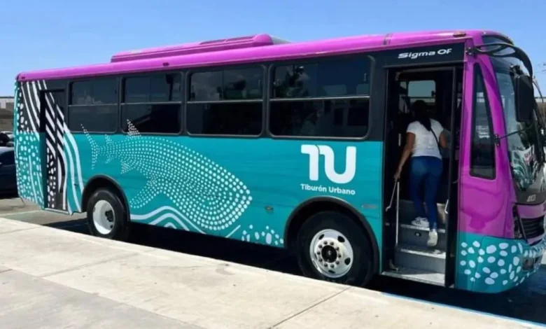 La Paz ampliará rutas del transporte Tiburón Urbano