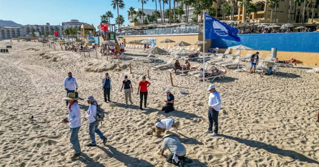 los cabos apuesta por más playas blue flag y turismo sustentable (1)